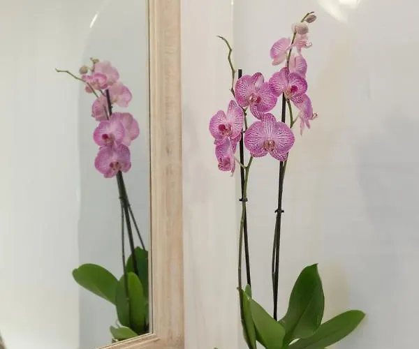 Doukas Caldera ヴィラ サントリーニ