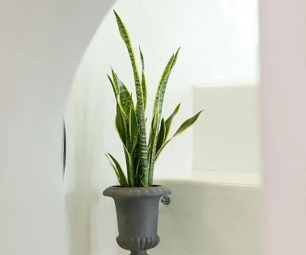 Doukas Caldera ヴィラ