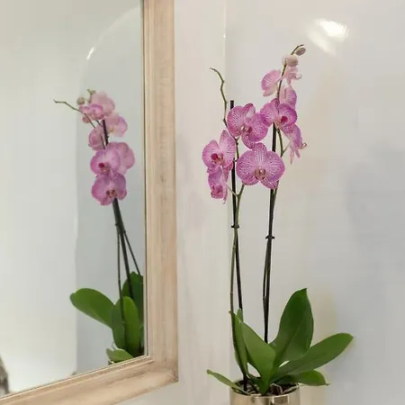 Doukas Caldera Vila Fira (Santorini)